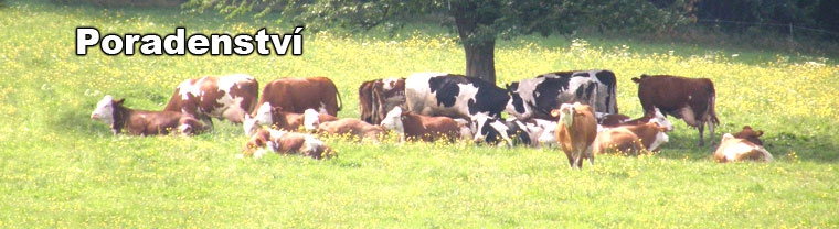 AgroKonzulta - poradenství, s.r.o. 